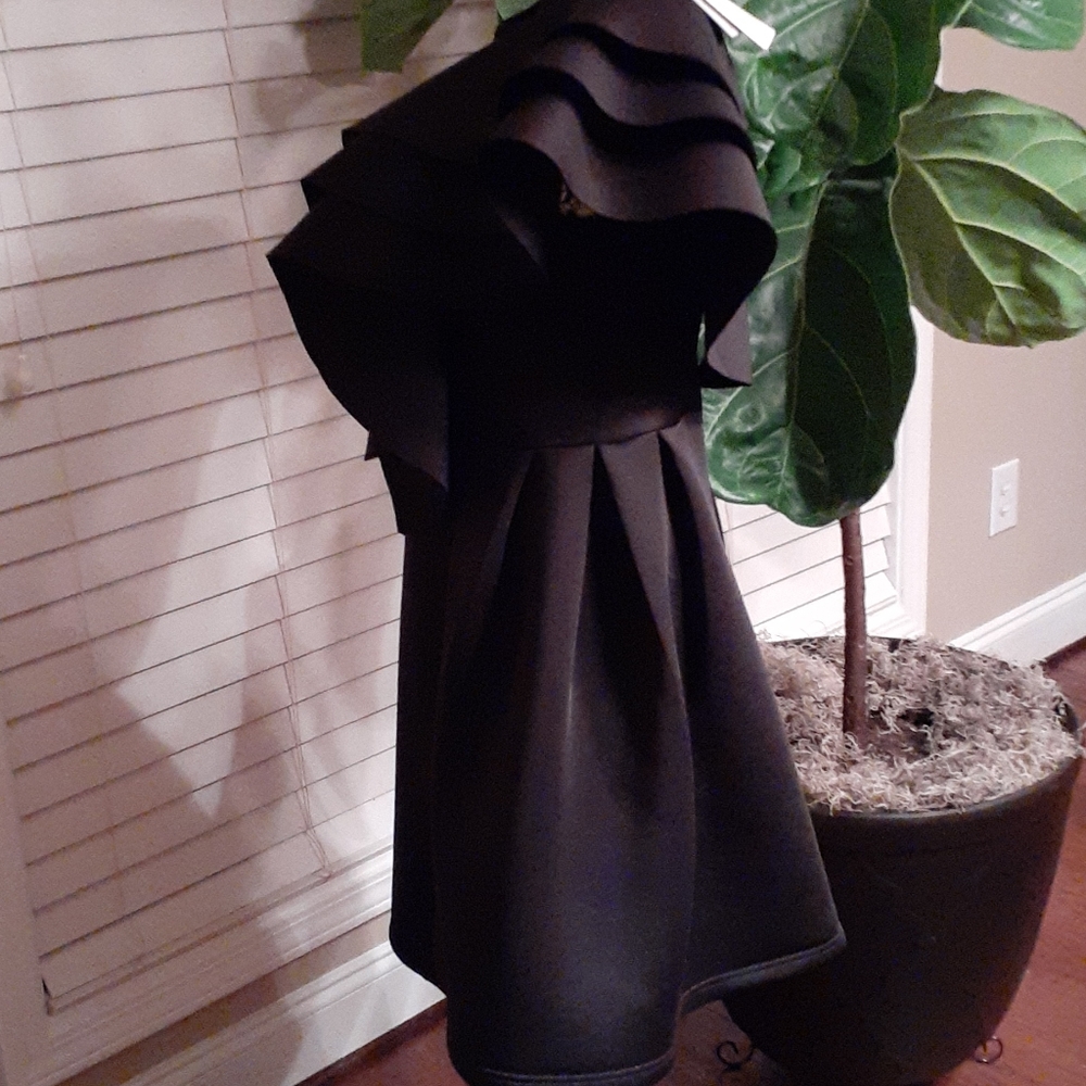 Dress - Picture 3 of 5